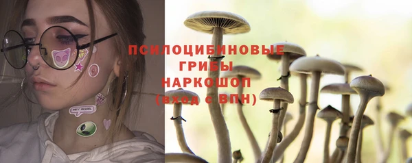 молекула духа Белоозёрский