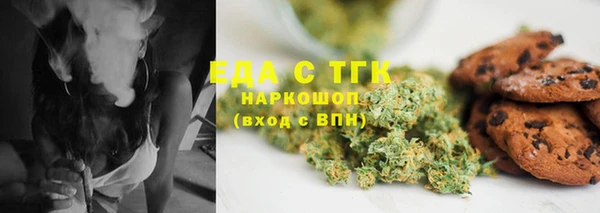 эйфоретик Богданович