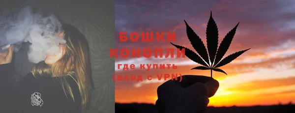 ГАЛЛЮЦИНОГЕННЫЕ ГРИБЫ Богородск