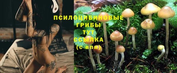 кокс Богородицк