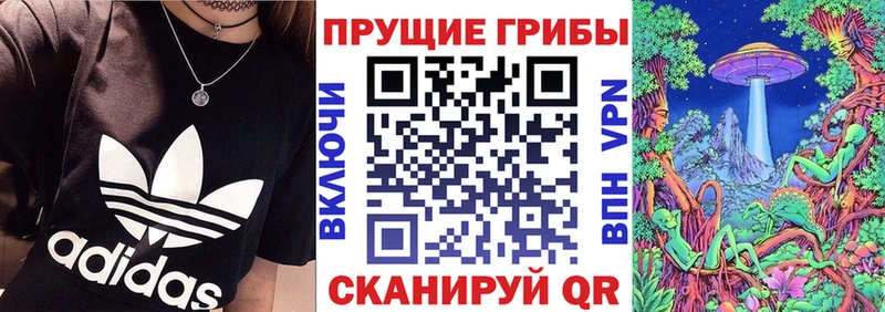 Галлюциногенные грибы Cubensis  Бокситогорск 